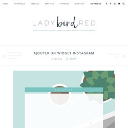 Ajouter un widget Instagram - Lady bird red