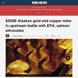 $500B Alaskan gold and copper mine in upstream battle with EPA, salmon advocates