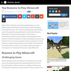 Top Reasons to Play Minecraft