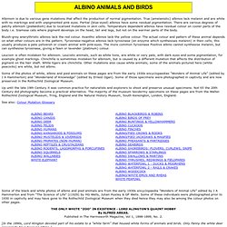 ALBINO ANIMALS AND BIRDS