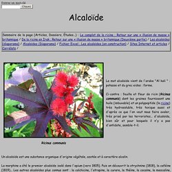 Alcaloïde