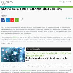 Alcohol Hurts Your Brain More Than Cannabis - botanika.life