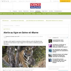 Alerte au tigre en Seine-et-Marne
