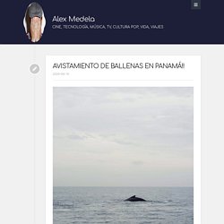 AlexMedela.com