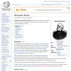 Alexander Braun