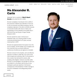 Alexander R. Carin - Partner at Sheri M. Spunt Avocats