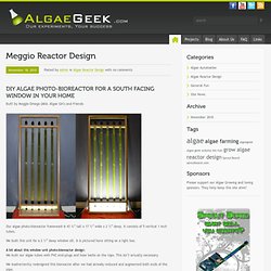 Algae Geek – Meggio Reactor Design