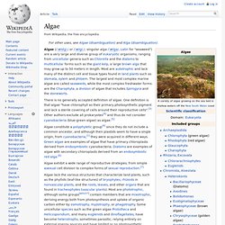 Algae - Wikipedia, the free encyclopedia - (Build 20100401064631