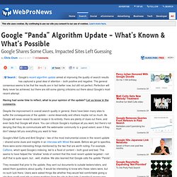 Google “Panda” Algorithm Update – What’s Known & What’s Possible
