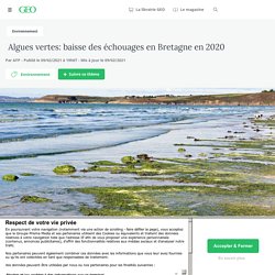 9 fév. 2021 Algues vertes: baisse des échouages en Bretagne en 2020 - Geo.fr