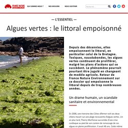 Algues vertes : le littoral empoisonné