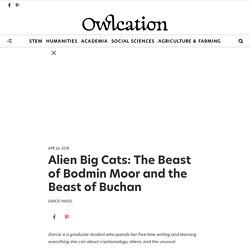 Alien Big Cats: The Beast of Bodmin Moor and the Beast of Buchan - Owlcation