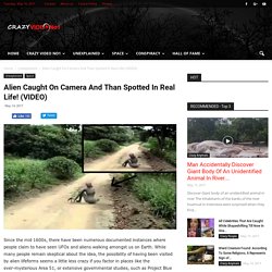 Alien Caught On Camera And Than Spotted In Real Life! (VIDEO) - Crazy Video No1