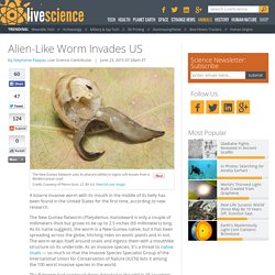 Alien-Like Worm Invades US
