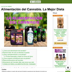 Alimentación del Cannabis. La Mejor Dieta