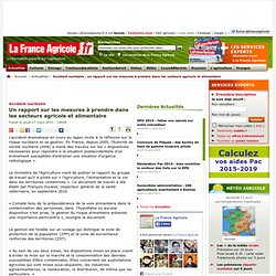 Accident nucléaire : un rapport sur les mesures à prendre dans les secteurs agricole et alimentaire - Actualités - La France Agricole, toute l agriculture et l information agricole