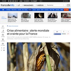 Crise alimentaire : alerte mondiale et crainte pour la France
