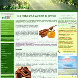 Les vertus de la cannelle et du miel | Alimentation-santé