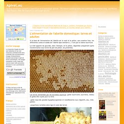 L'alimentation de l'abeille domestique: larves et adultes - Apivet.eu