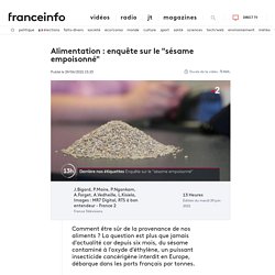 FRANCE INFO 29/06/21 Alimentation : enquête sur le "sésame empoisonné"