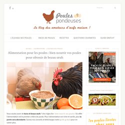 poulespondeuses.com - Comment bien nourriture vos poules pour obtenir de beaux oeufs?