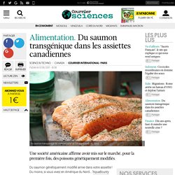 Alimentation. Du saumon transgénique dans les assiettes canadiennes