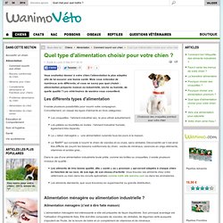 Comment nourrir son chien - Quel type d'alimentation choisir pour votre chien ? par les vétérinaires de Wanimo