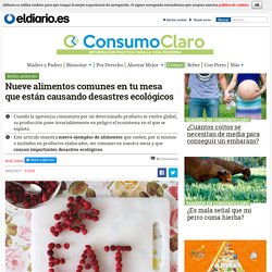 Nueve alimentos comunes en tu mesa que están causando desastres ecológicos