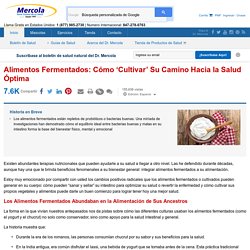 Alimentos Fermentados—Su Mejor Guía para la Lista de los Vegetales Fermentados