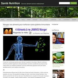 10 aliments pour stimuler le système immunitaire