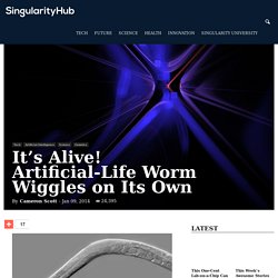 It's Alive! Artificial-Life Worm Wiggles on Its Own