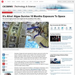 *****It's Alive! Algae Survive 16 Months Exposure To Space