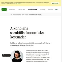 Alkoholens ekonomiska kostnad