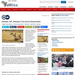 Ethiopia: Teff - Ethiopia's Tiny Secret Going Global