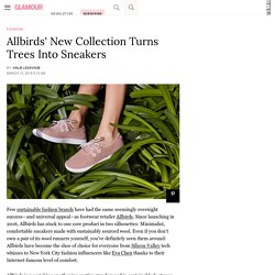 Allbirds Newest Collection Turns Trees Into Sneakers