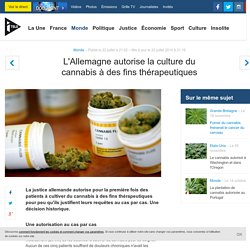 L'Allemagne autorise la culture du cannabis à des fins thérapeutiques