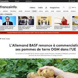 L'Allemand BASF renonce à commercialiser ses pommes de terre OGM dans l'UE