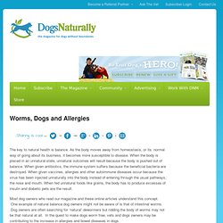 Worms, Dogs and Allergies