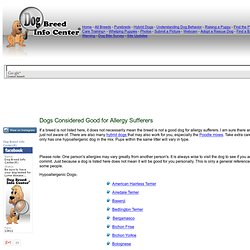 hypoallergenic dog list