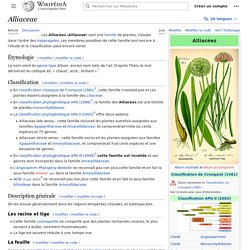 Alliaceae (genre)
