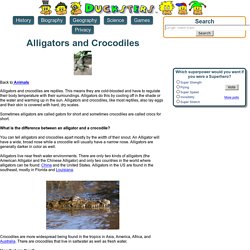 Alligators and Crocodiles for Kids: Learn about these giant reptiles.