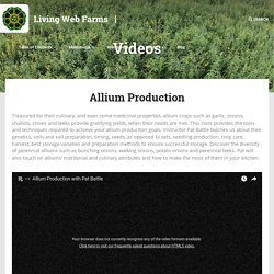 Allium Production