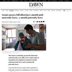 Senate passes bill allowing 6-month paid maternity leave, 3-month paternity leave