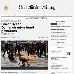 Persönlichkeit des Jahres 2011: Griechischer Demonstranten-Hund gestorben - Alltagsgeschichten Nachrichten