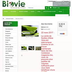 Aloe Vera fraîche - BIOVIE