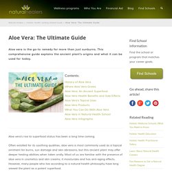 The Ultimate Guide to Aloe Vera and its Many, Often Unknown, Uses