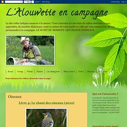 L'Alouwette en campagne: Oiseaux