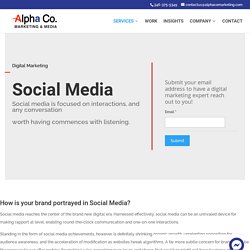 Alpha Co. Marketing & Media – Social Media