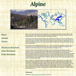 Alpine Biome