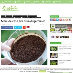 Marc de café, l'or brun du jardinier ! - Blog Alsagarden - Plantes rares, Jardins, Actualités...